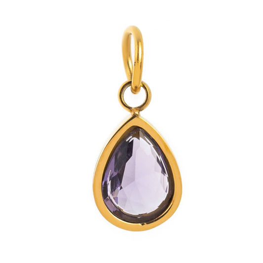February Birthstone Charm